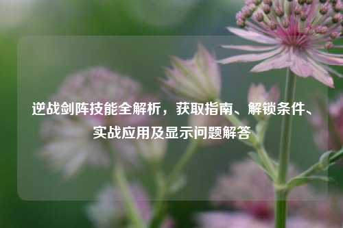 逆战剑阵技能全解析,获取指南、解锁条件、实战应用及显示问题解答