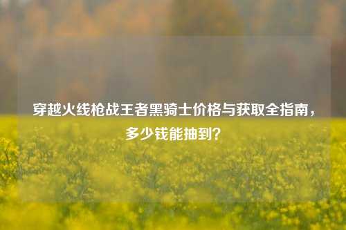 穿越火线枪战王者黑骑士价格与获取全指南,多少钱能抽到?