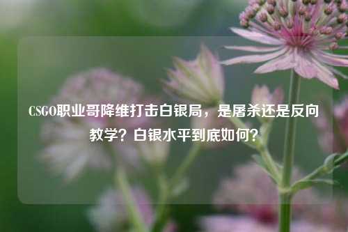 CSGO职业哥降维打击白银局,是屠杀还是反向教学?白银水平到底如何?