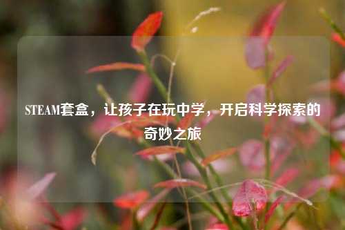 STEAM套盒,让孩子在玩中学,开启科学探索的奇妙之旅