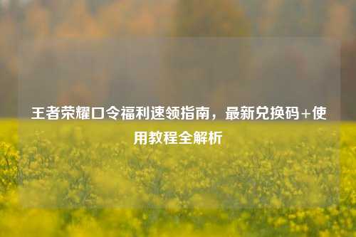 王者荣耀口令福利速领指南,最新兑换码+使用教程全解析