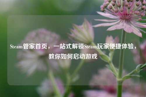 Steam管家首页,一站式解锁Steam玩家便捷体验,教你如何启动游戏