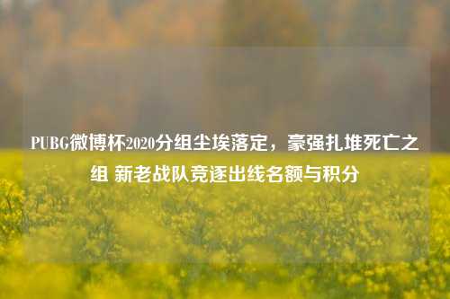 PUBG微博杯2020分组尘埃落定,豪强扎堆死亡之组 新老战队竞逐出线名额与积分