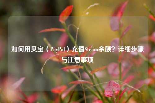 如何用贝宝(PayPal)充值Steam余额?详细步骤与注意事项