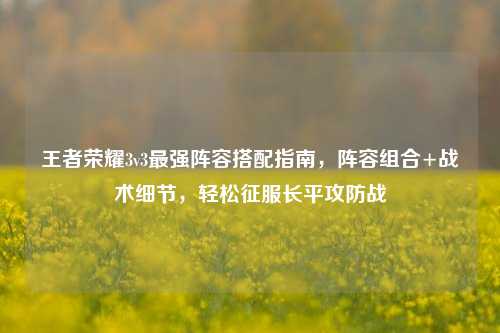 王者荣耀3v3最强阵容搭配指南,阵容组合+战术细节,轻松征服长平攻防战