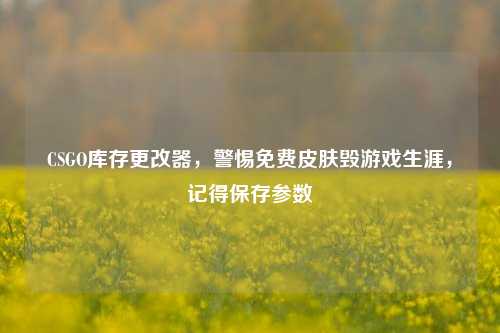 CSGO库存更改器,警惕免费皮肤毁游戏生涯,记得保存参数