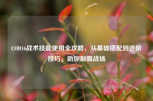 COD16战术技能使用全攻略,从基础搭配到进阶技巧,助你制霸战场