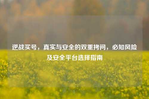 逆战买号,真实与安全的双重拷问,必知风险及安全平台选择指南