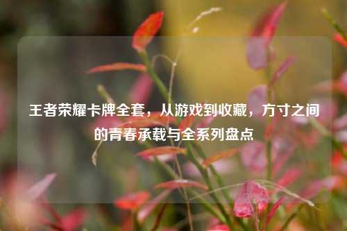 王者荣耀卡牌 *** ，从游戏到收藏，方寸之间的青春承载与全系列盘点