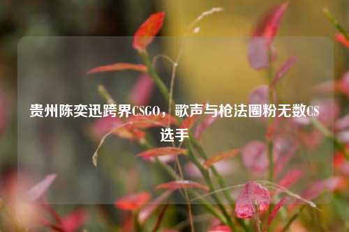 贵州陈奕迅跨界CSGO，歌声与枪法圈粉无数CS选手