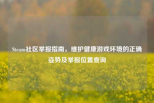 Steam社区举报指南，维护健康游戏环境的正确姿势及举报位置查询