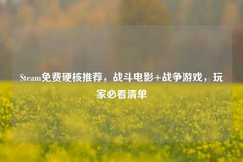 Steam免费硬核推荐,战斗电影+战争游戏,玩家必看清单