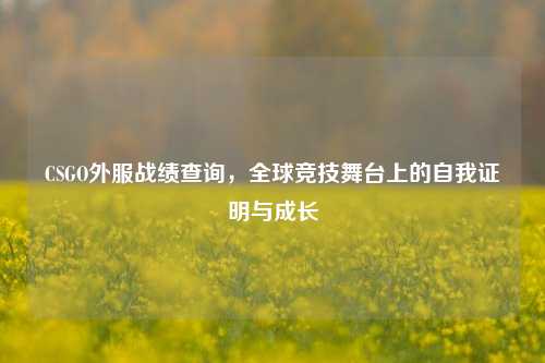 CSGO外服战绩查询，全球竞技舞台上的自我证明与成长
