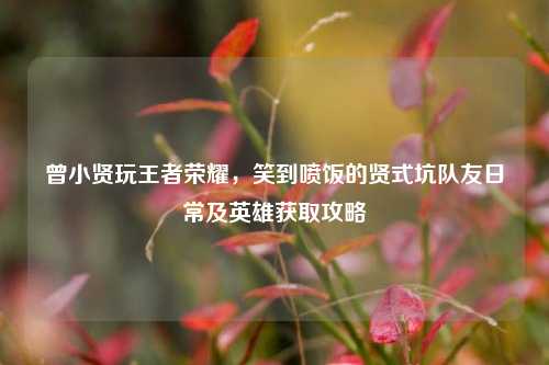 曾小贤玩王者荣耀,笑到喷饭的贤式坑队友日常及英雄获取攻略
