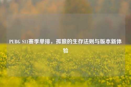 PUBG S11赛季单排,孤狼的生存法则与版本新体验