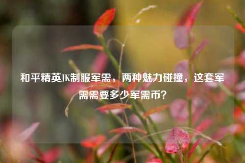 和平精英JK制服军需,两种魅力碰撞,这套军需需要多少军需币?