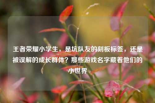王者荣耀小学生，是坑队友的刻板标签，还是被误解的成长群体？那些游戏名字藏着他们的小世界