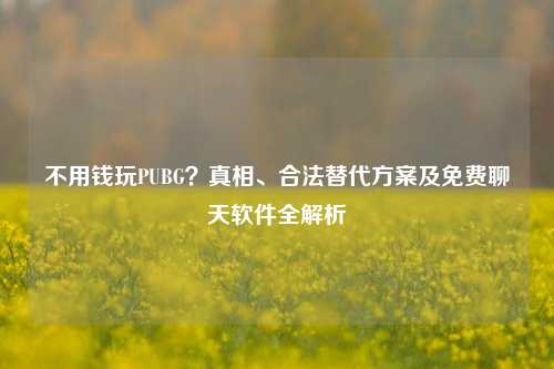 不用钱玩PUBG？真相、合法替代方案及免费聊天软件全解析