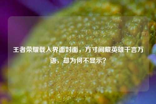 王者荣耀载入界面封面，方寸间藏英雄千言万语，却为何不显示？