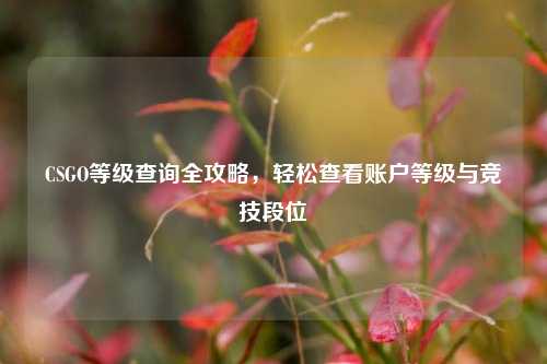 CSGO等级查询全攻略，轻松查看账户等级与竞技段位