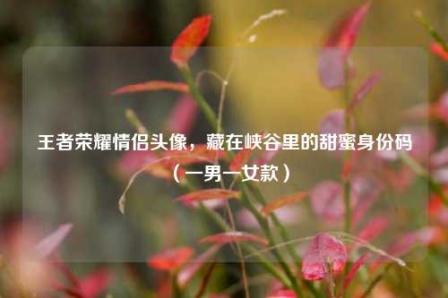 王者荣耀情侣头像，藏在峡谷里的甜蜜身份码（一男一女款）