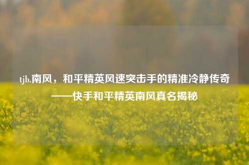 tjb.南风，和平精英风速突击手的精准冷静传奇——快手和平精英南风真名揭秘