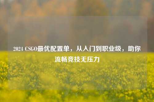 2024 CSGO更优配置单，从入门到职业级，助你流畅竞技无压力