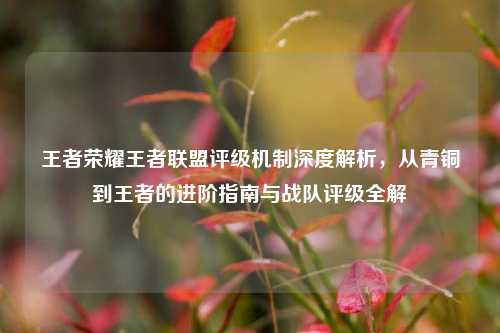 王者荣耀王者联盟评级机制深度解析，从青铜到王者的进阶指南与战队评级全解