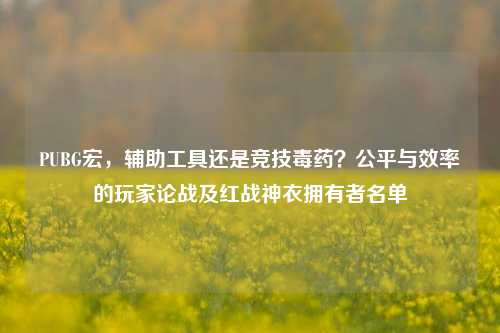 PUBG宏，辅助工具还是竞技毒药？公平与效率的玩家论战及红战神衣拥有者名单