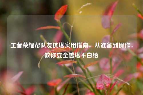 王者荣耀帮队友抗塔实用指南，从准备到操作，教你安全越塔不白给