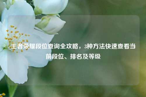 王者荣耀段位查询全攻略，3种 *** 快速查看当前段位、排名及等级