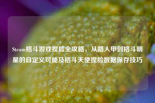 Steam格斗游戏捏脸全攻略,从路人甲到格斗明星的自定义可能及格斗天使捏脸数据保存技巧