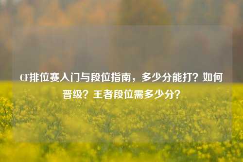 CF排位赛入门与段位指南,多少分能打?如何晋级?王者段位需多少分?
