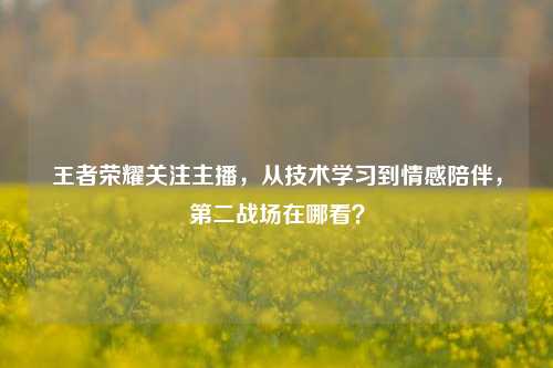 王者荣耀关注主播，从技术学习到情感陪伴，第二战场在哪看？