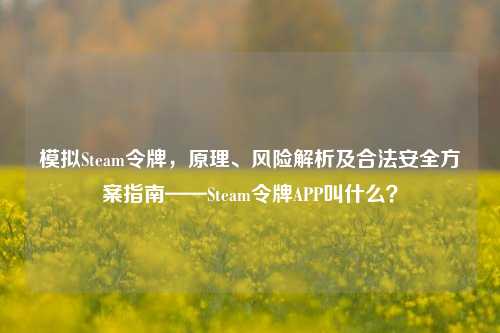 模拟Steam令牌，原理、风险解析及合法安全方案指南——Steam令牌APP叫什么？