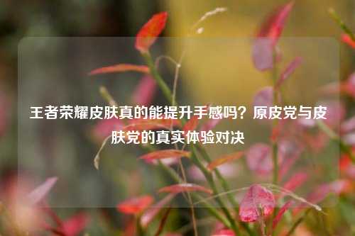 王者荣耀皮肤真的能提升手感吗？原皮党与皮肤党的真实体验对决