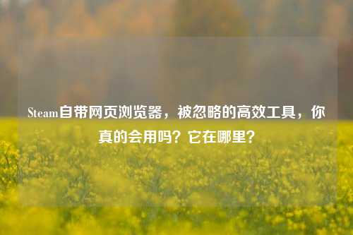 Steam自带网页浏览器，被忽略的高效工具，你真的会用吗？它在哪里？