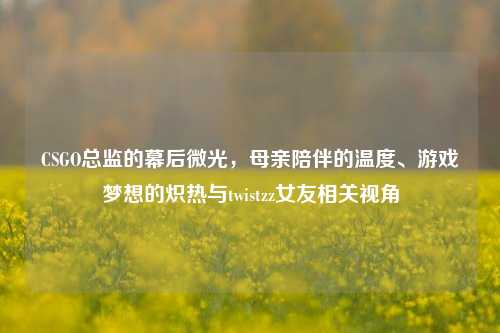 CSGO总监的幕后微光,母亲陪伴的温度、游戏梦想的炽热与twistzz女友相关视角